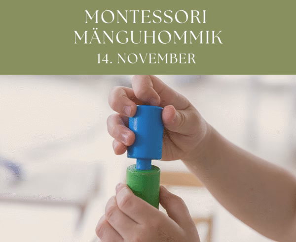 Montessori mänguhommik