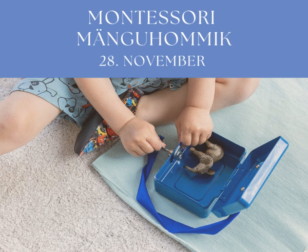 Montessori mänguhommik
