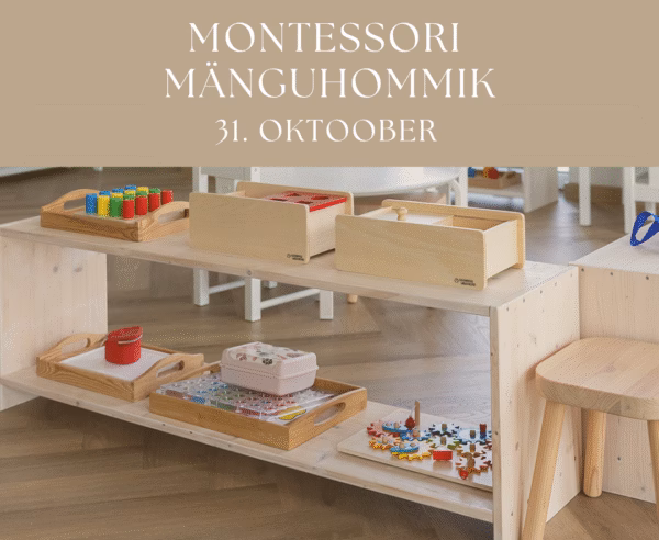 Montessori mänguhommik